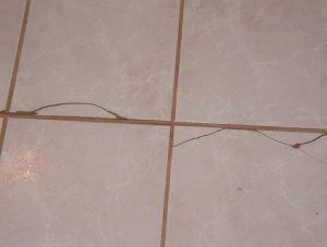 floor cracks omaha