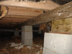 crawl space decay
