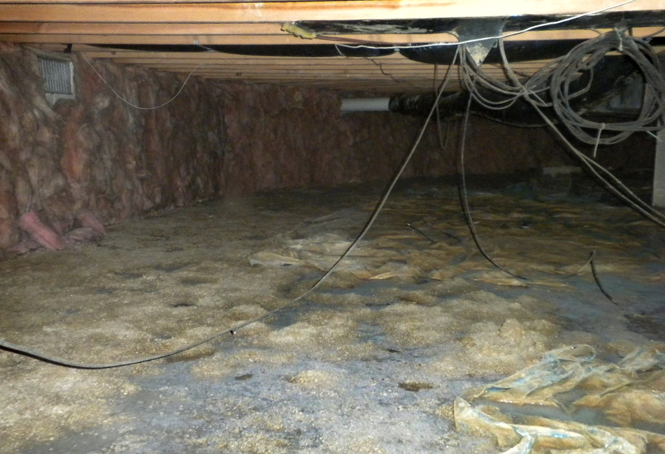 Crawl image1-hutchinson-crawl-space-encapsulation.png
