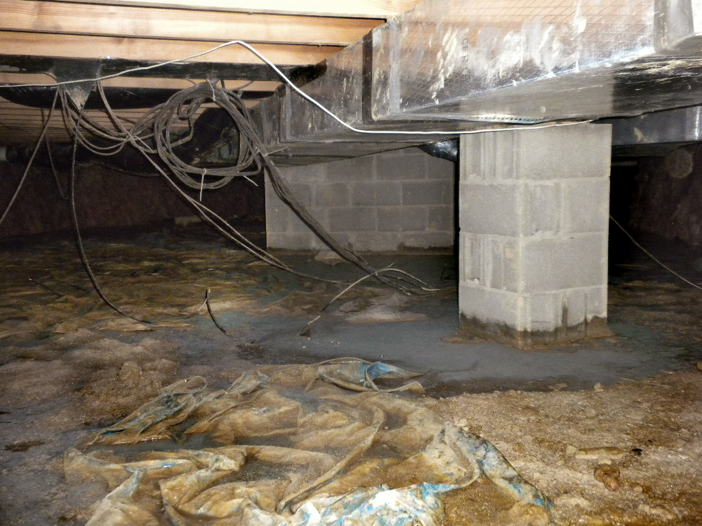 Crawl image1-wichita-crawl-space-encapsulation.png