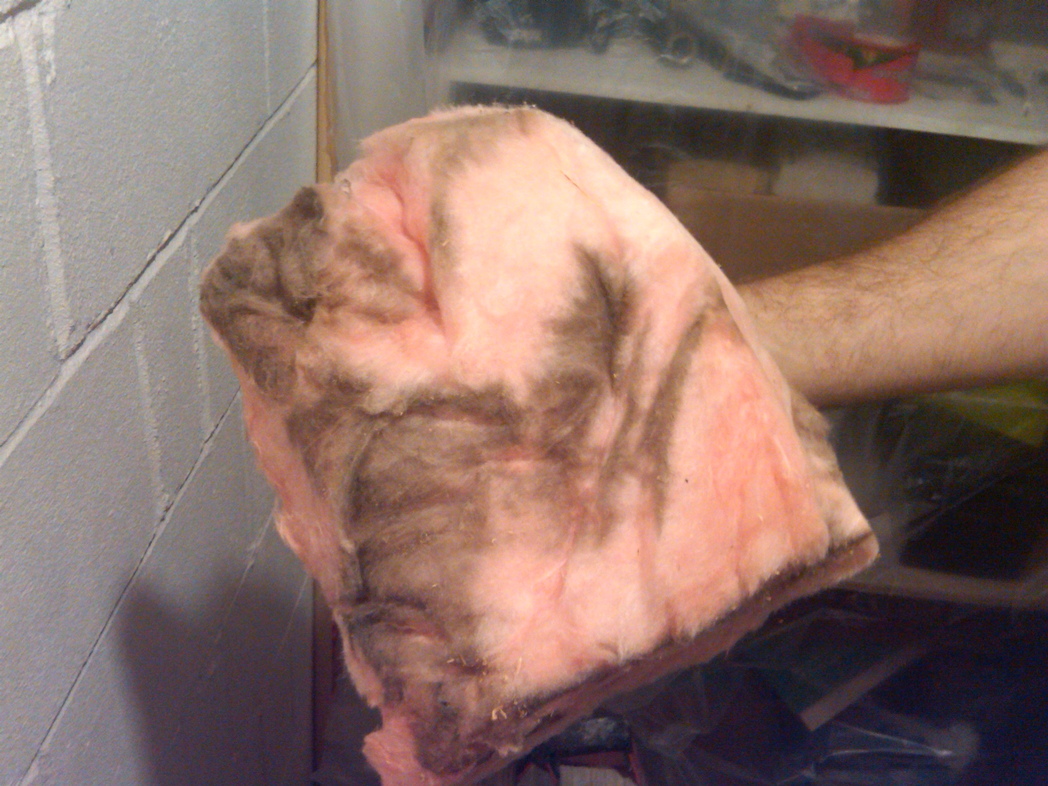 Clarksville By sealing exposed soil and walls with a moisture-resistant SafeSeal™ liner and integrating drainage and dehumidification, we help lower humidity levels that support mold growth, musty odors, and allergens.